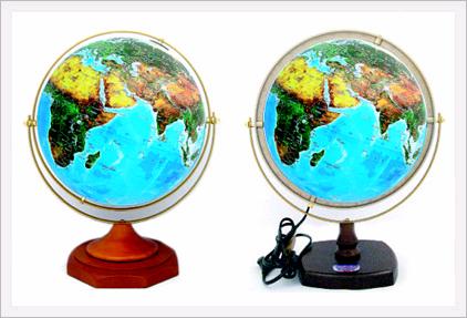 Setallite Image Globe